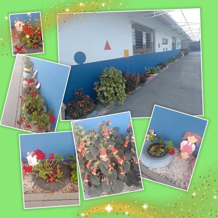 imagem creche bom samaritano