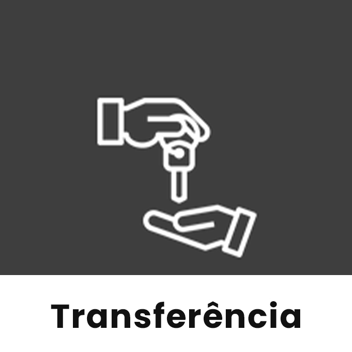 imagem deca despachante