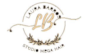 imagem logo studio laura barros