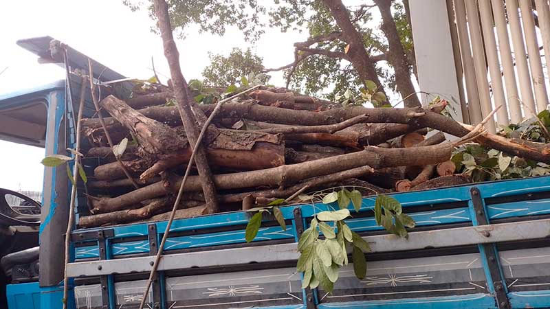 Imagem intro gl poda