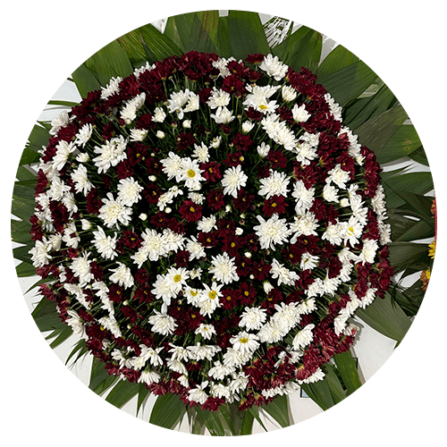 imagem de coroas de flores