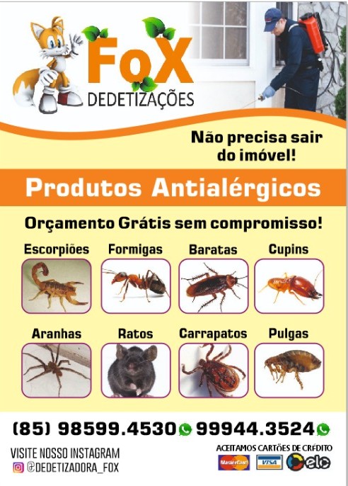 imagem2-min.jpg