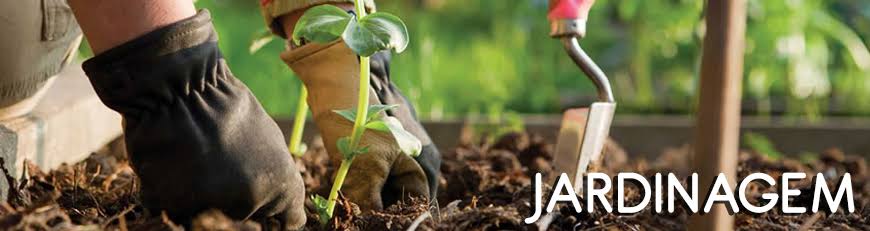 jardinagemepaisagismo.jpeg