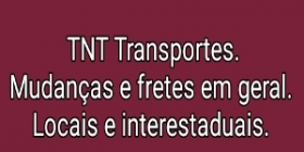 TNT TRANSPORTE E MUDANÇAS