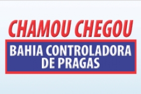 BAHIA DEDETIZADORA EM SALVADOR