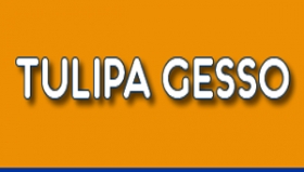 TULIPA GESSO